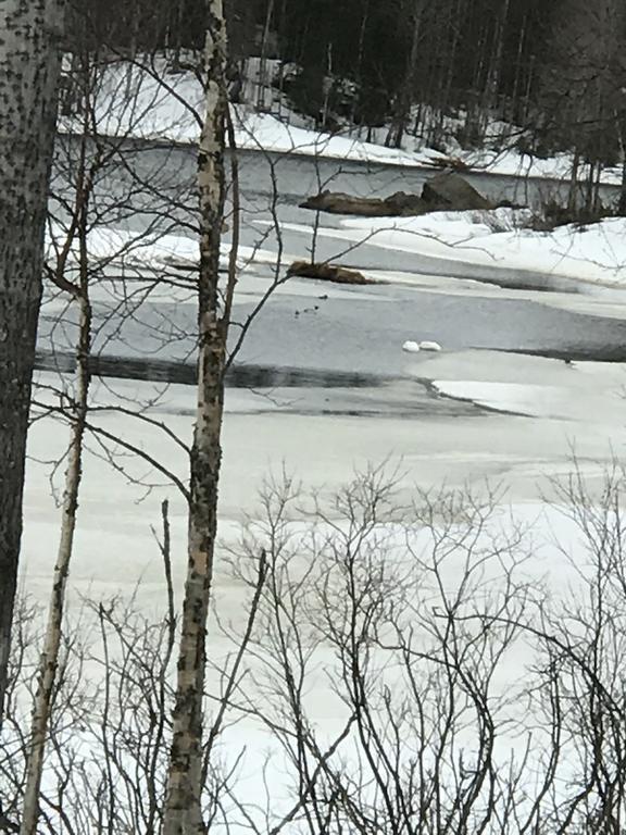 Villa Somosenranta Oikarainen Екстер'єр фото
